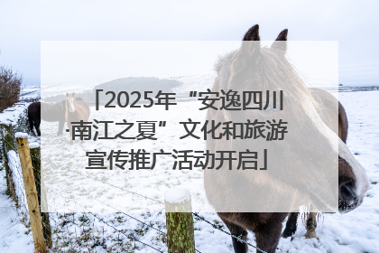 2025年“安逸四川·南江之夏”文化和旅游宣传推广活动开启