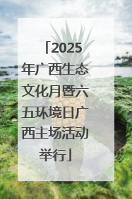 2025年广西生态文化月暨六五环境日广西主场活动举行