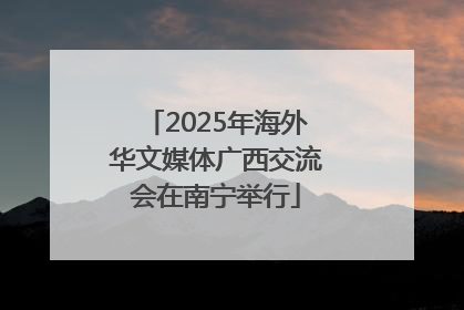 2025年海外华文媒体广西交流会在南宁举行