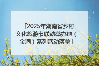 2025年湖南省乡村文化旅游节联动举办地（金洞）系列活动落幕