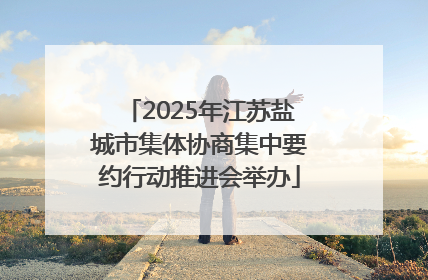2025年江苏盐城市集体协商集中要约行动推进会举办