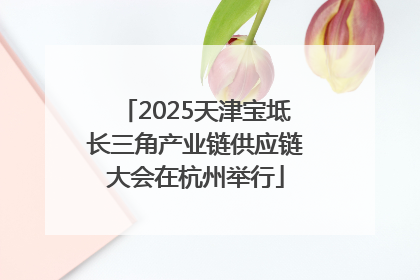 2025天津宝坻长三角产业链供应链大会在杭州举行