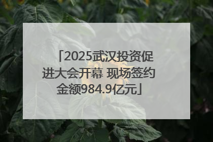 2025武汉投资促进大会开幕 现场签约金额984.9亿元