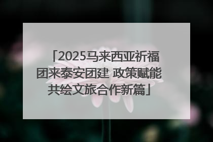 2025马来西亚祈福团来泰安团建 政策赋能共绘文旅合作新篇