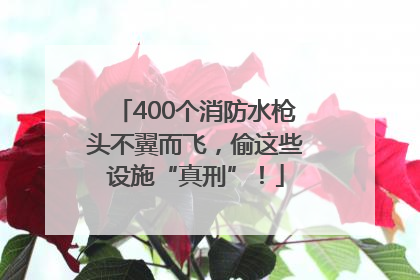 400个消防水枪头不翼而飞，偷这些设施“真刑”！