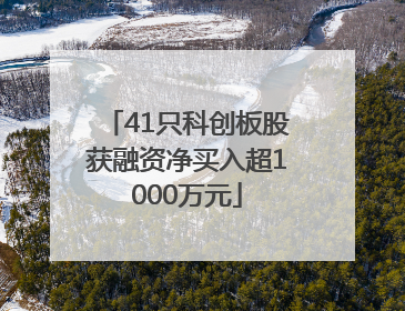41只科创板股获融资净买入超1000万元