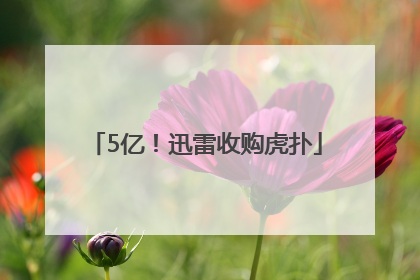 5亿！迅雷收购虎扑