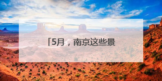 5月，南京这些景区迎免费开放日