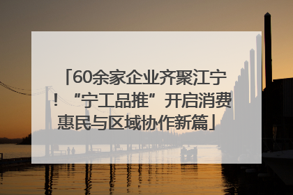 60余家企业齐聚江宁！“宁工品推”开启消费惠民与区域协作新篇