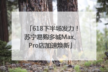618下半场发力！苏宁易购多城Max、Pro店加速焕新