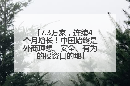 7.3万家，连续4个月增长！中国始终是外商理想、安全、有为的投资目的地