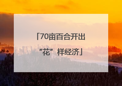 70亩百合开出“花”样经济